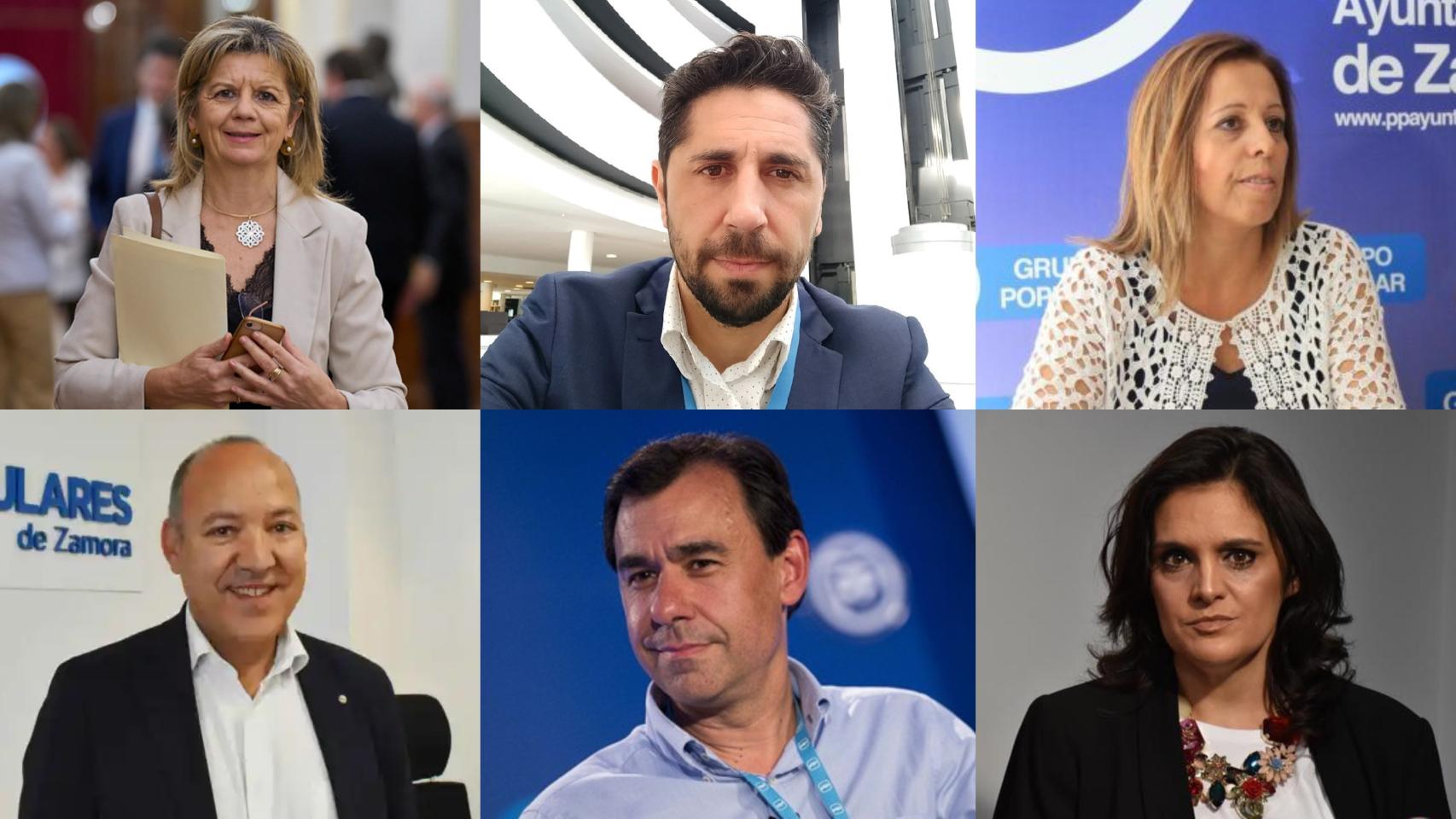 Collage con los candidatos al Congreso y Senado del PP de Zamora