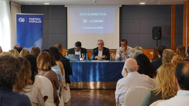 Miguel Lorenzo en la Junta Directiva celebrada este miércoles en A Coruña