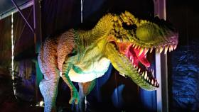 Dino Expo XXL llega a Ferrol con más de 100 dinosaurios a escala real