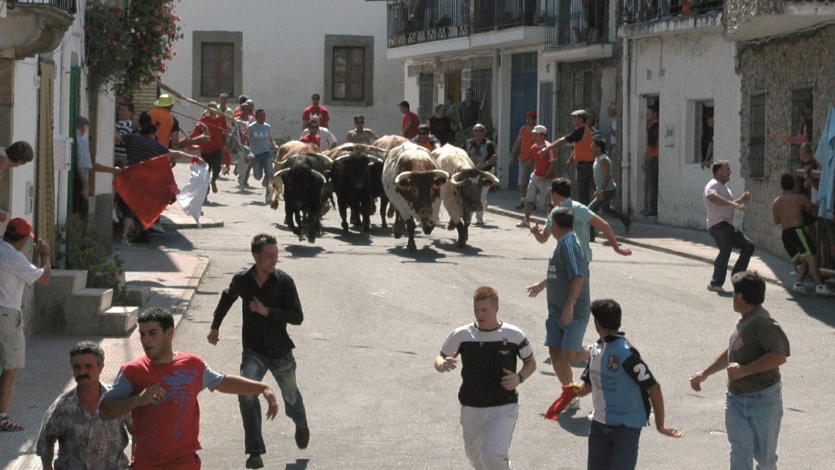 Encierro tradicional por las calles de Villarino de los Aires