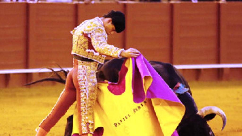 Daniel Medina en su presentación en La Maestranza de Sevilla