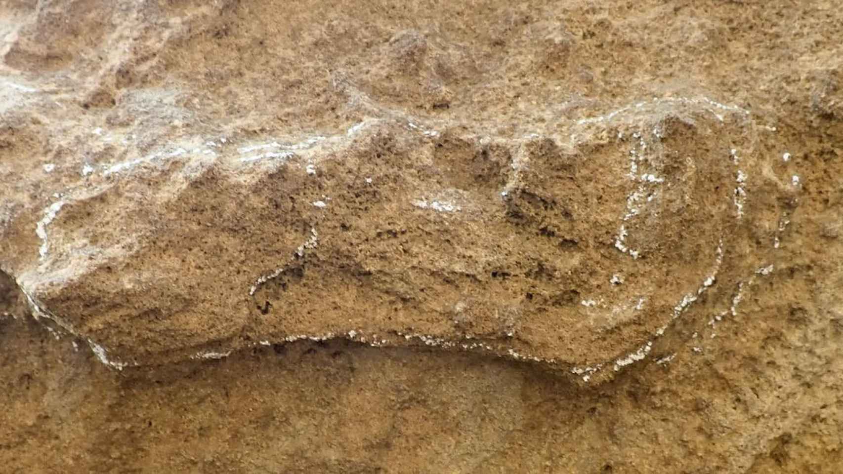 La huella más antigua del 'Homo sapiens'. Foto: Charles Helm