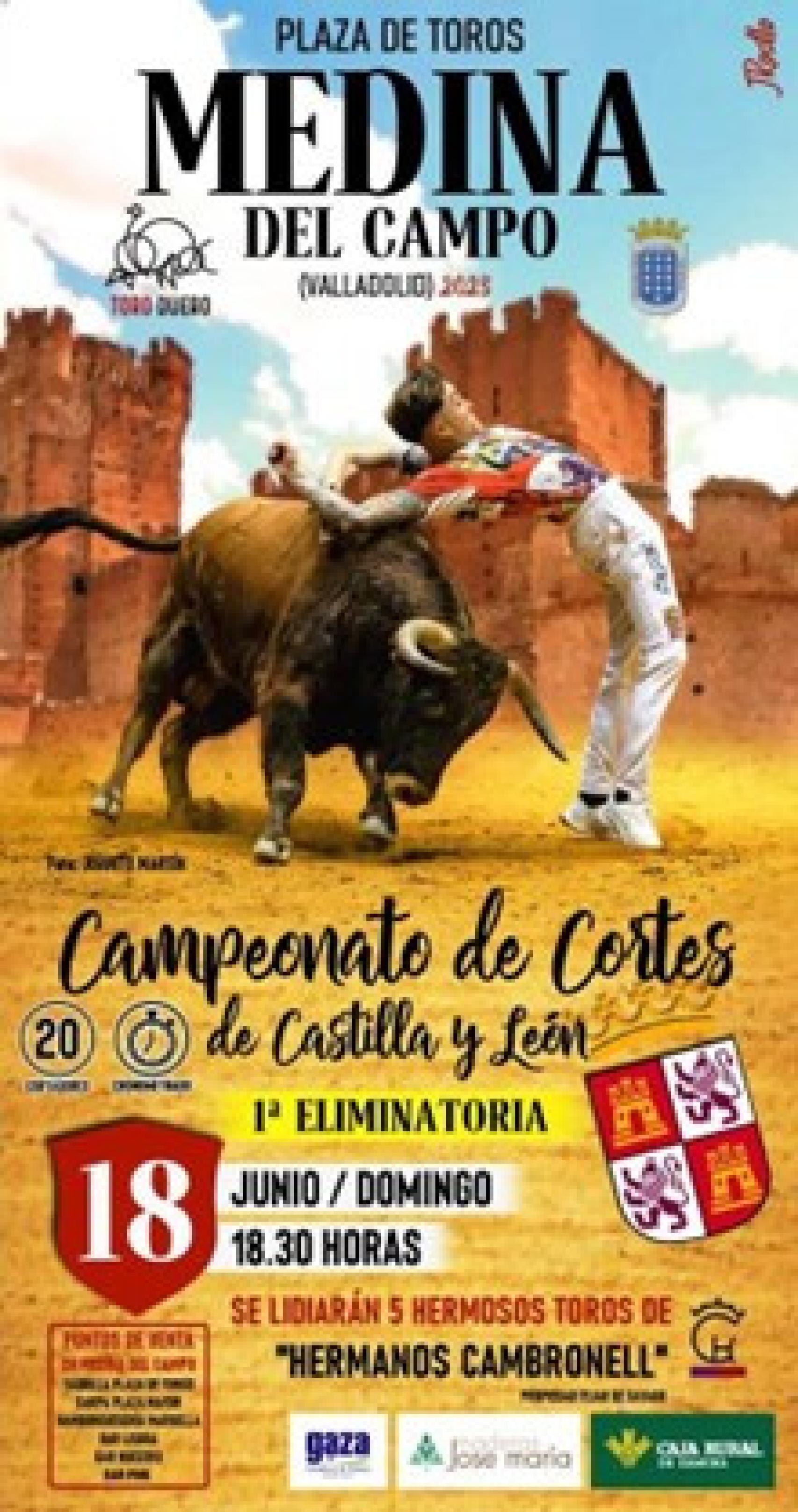 Campeonato de Cortes de Castilla y León en Medina del Campo