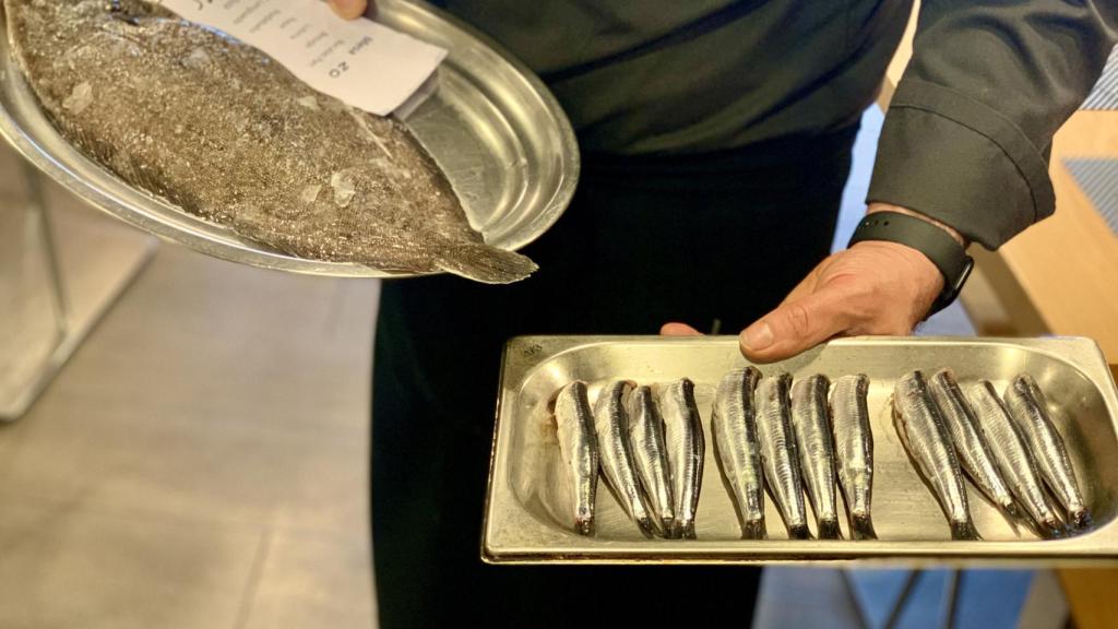 Lenguado y anchoas recién traídas del puerto de Getaria.