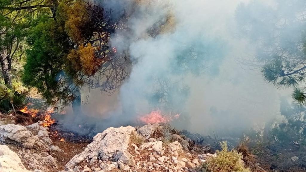 Declarado un incendio forestal en Canillas de Albaida (Málaga)