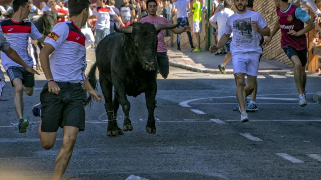 Carrera ante el toro