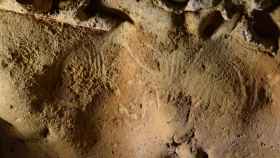 Ejemplos de los grabados hechos por neandertales en La Roche-Cotard. Foto: Jean-Claude Marquet