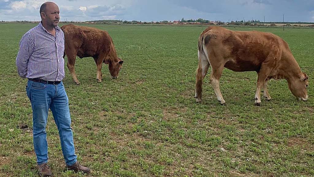 Luis Sánchez, un ganadero vallisoletano en su explotación de la provincia pucelana