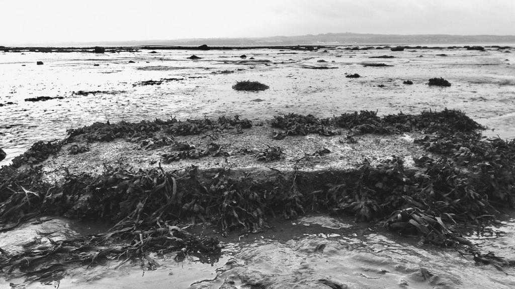 La tumba de bruja de Torryburn, bajo el lodo de Torry Bay, en Escocia. Foto: Peter Ross