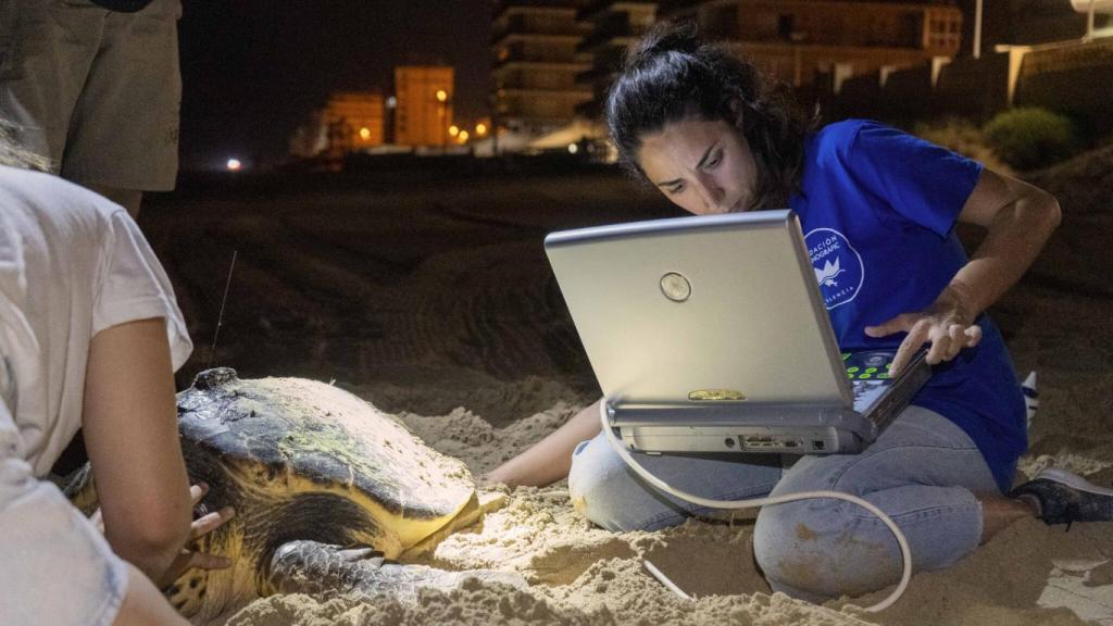 La veterinaria Marta Muñoz junto a la tortuga en Elche.