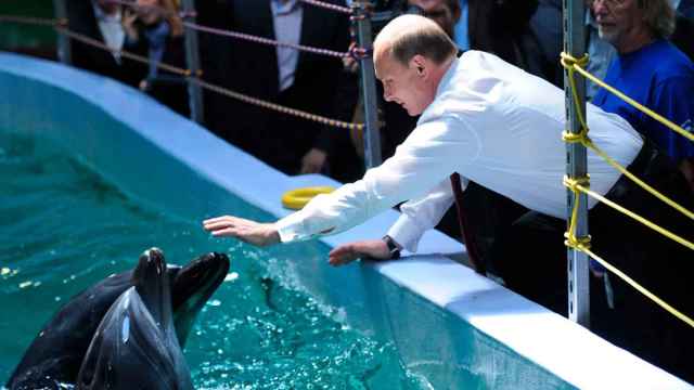 Putin saludando a los delfines