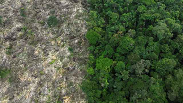 Imágen de dron muestra la deforestación cerca de Uruara, estado de Pará, en la Amazonía brasileña.
