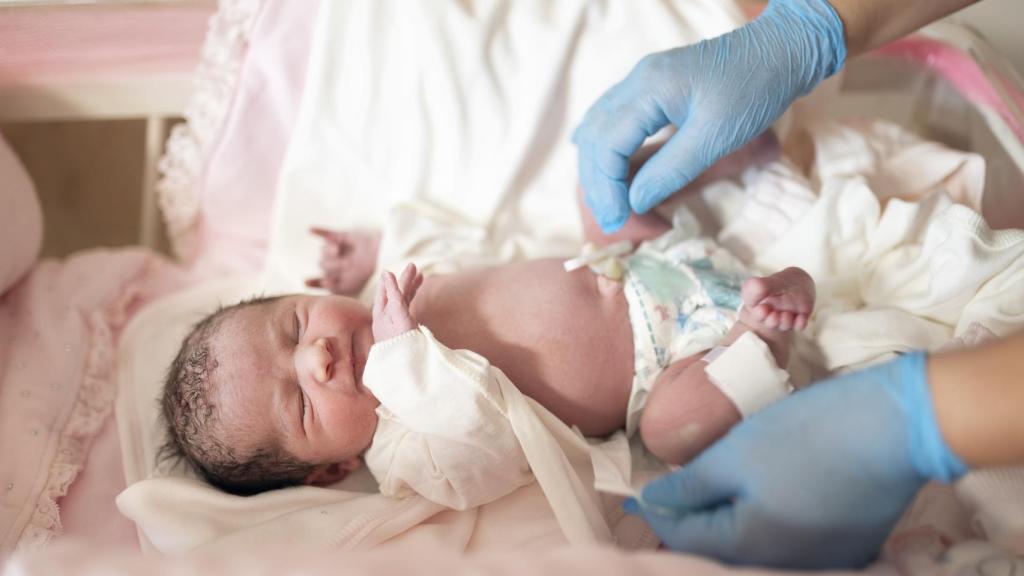 El estudio dirigido por la doctora Silvia Díaz Cruz analizó muestras procedentes del cordón umbilical de 69 recién nacidos.