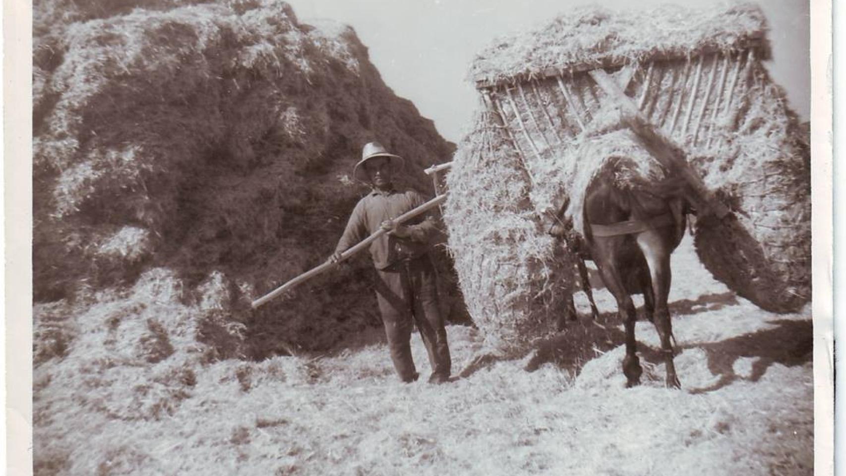 Parva y carga de paja en la era de Villarino