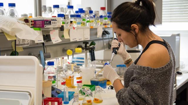 Investigación en la Universidad de Salamanca