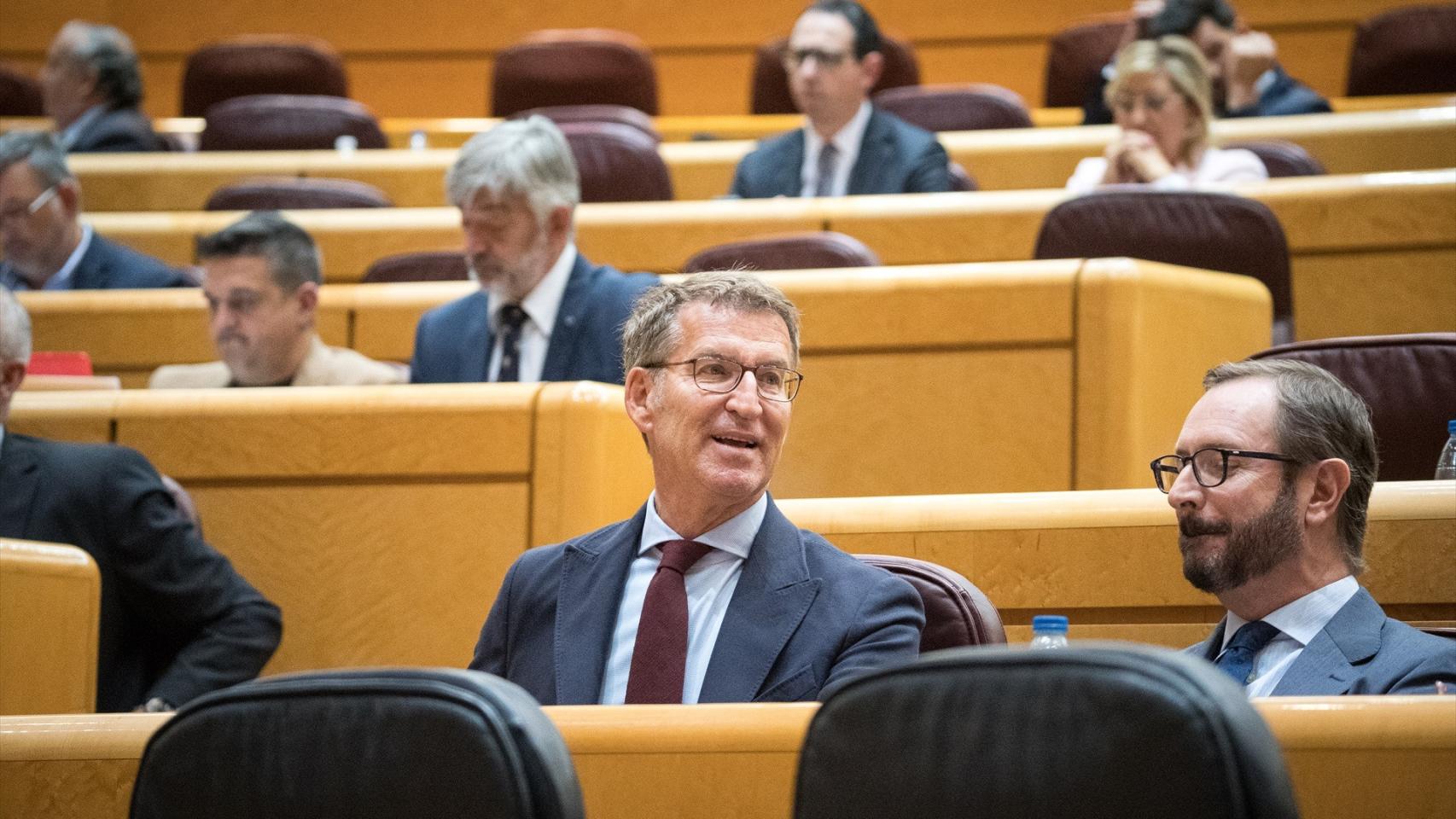 El presidente del PP, Alberto Núñez Feijóo, durante una sesión en el senado
