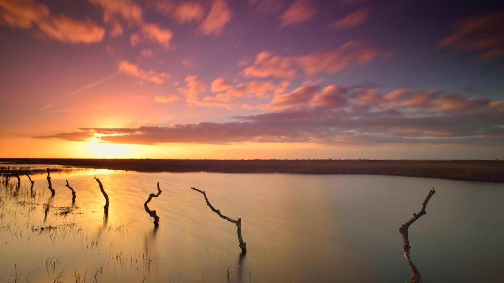 Humedal del Parque Nacional de Doñana (Huelva).