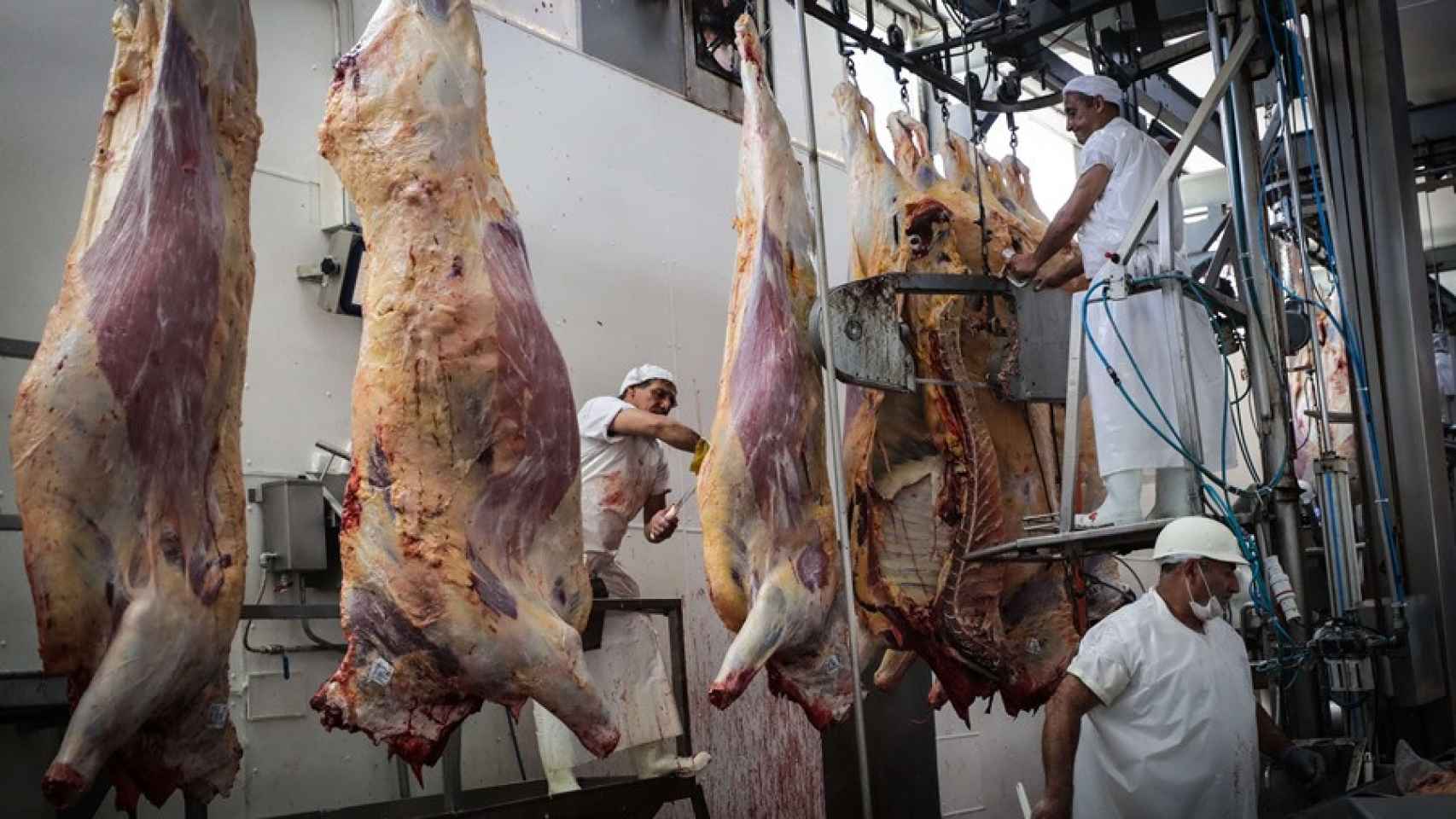 Los mataderos tradicionales pueden verse amenazados por la nueva carne de cultivo.