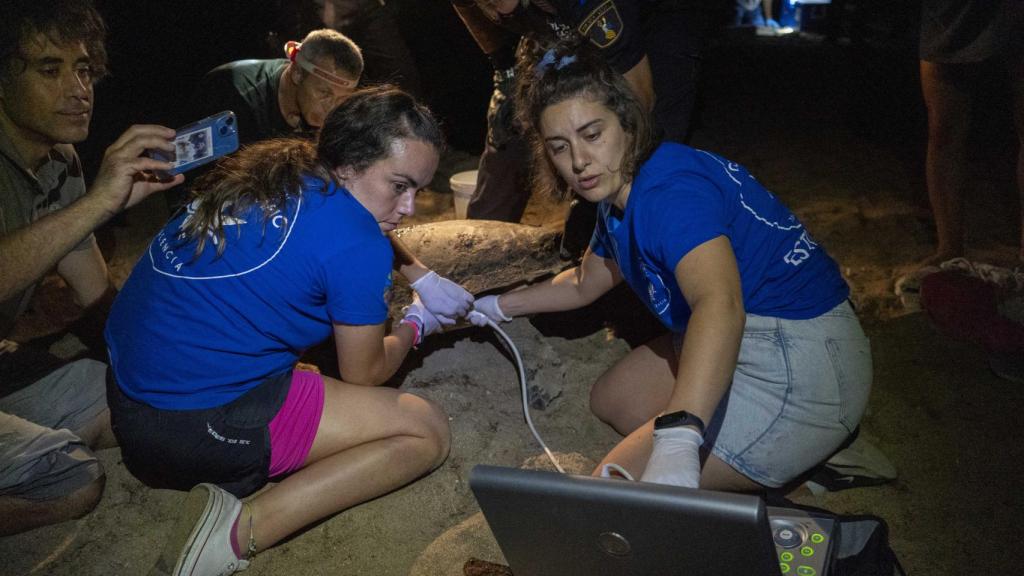 Lorena Espósito y Mariana Saubidet, con quien ha hablado este medio, en la playa junto a la tortuga que desovó en Denia.