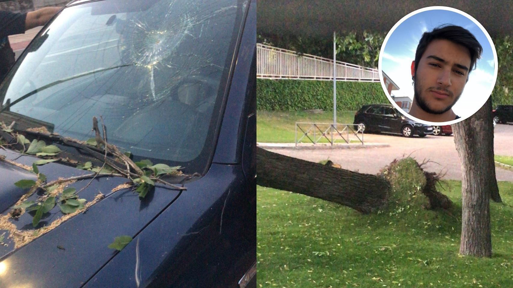 El vehículo dañado junto con el árbol caído y el joven que se encontraba dentro