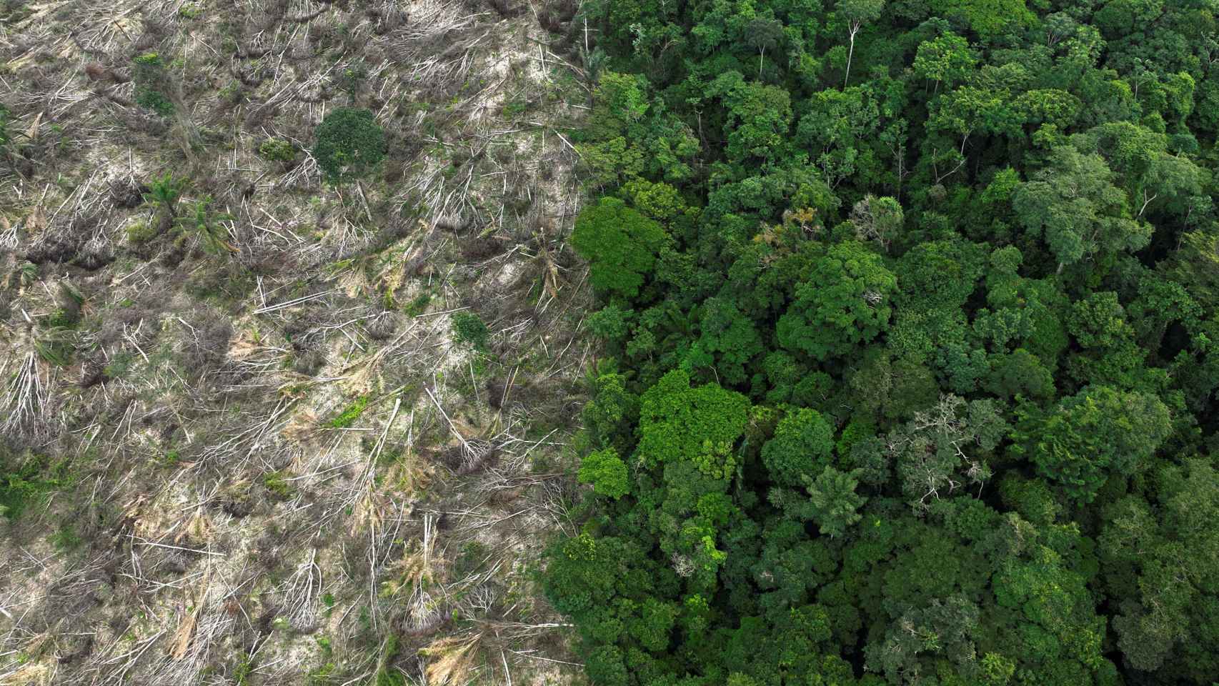 Una vista aérea muestra una zona deforestada en el estado de Pará, el 21 de enero.