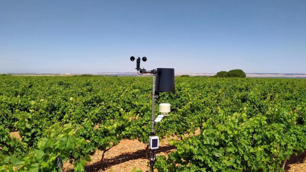 La D.O. Rueda instala una red de estaciones meteorológicas para controlar los viñedos desde el móvil