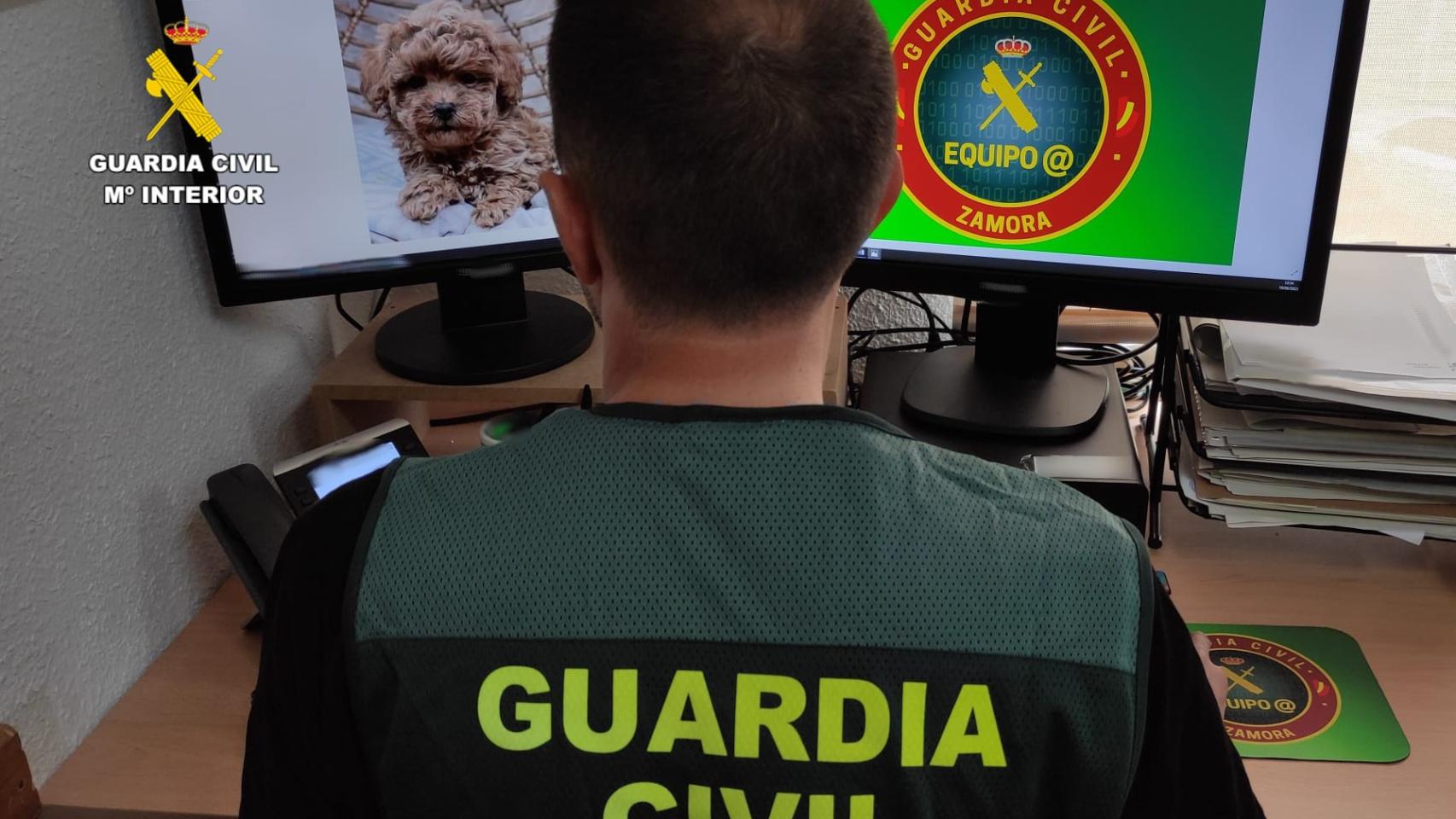 Guardia Civil de Zamora