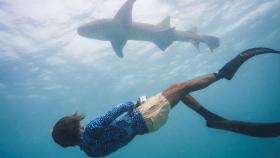 Charlie Sarria nadando entre tiburones.