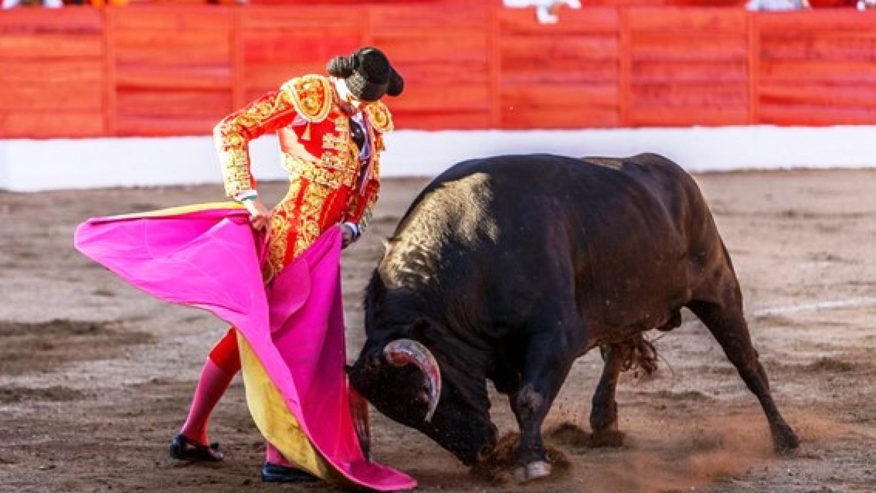 El novillero iscariense Darío Domínguez en un lance capotero