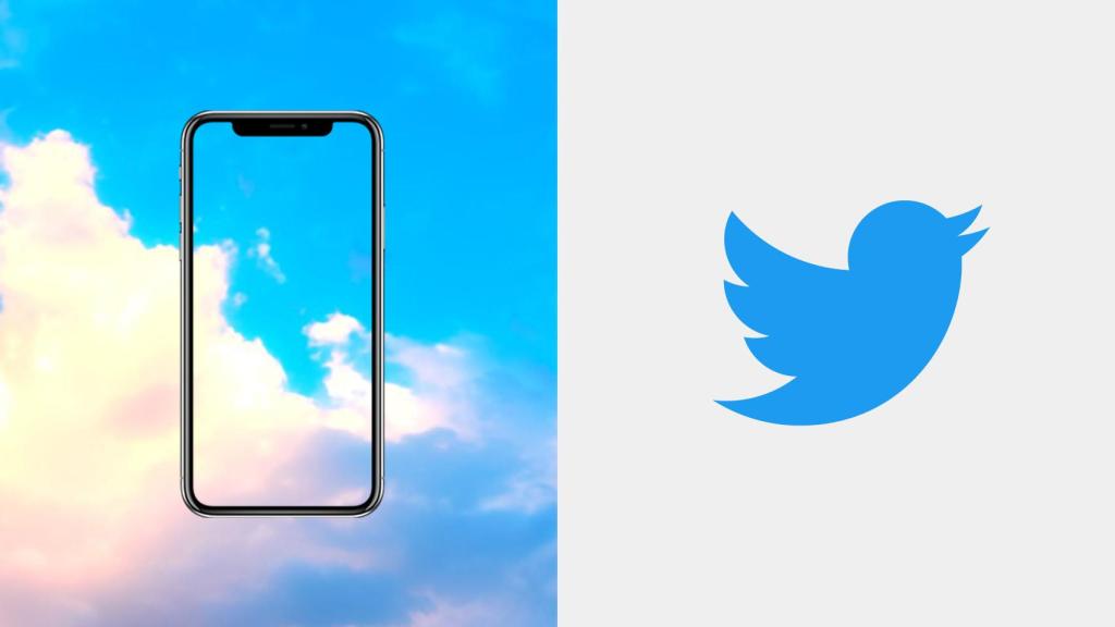 Fotomontaje con el logo de Twitter y el fondo de Bluesky.