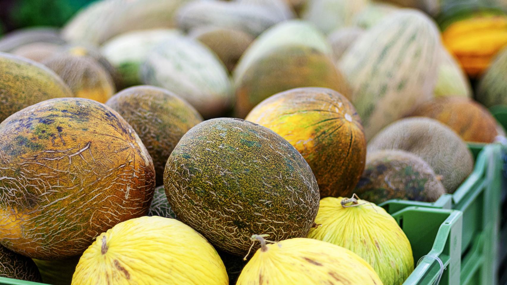 Imagen de archivo de diferentes variedades de melón.