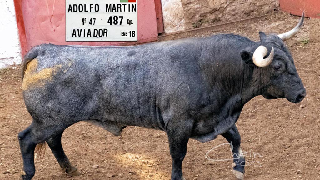 Aviador, de Adolfo Martín, premio Celtiberia 2023