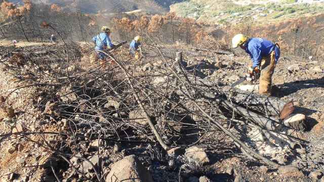 Trabajos en las zonas afectadas por el incendio de la Costa del Sol.