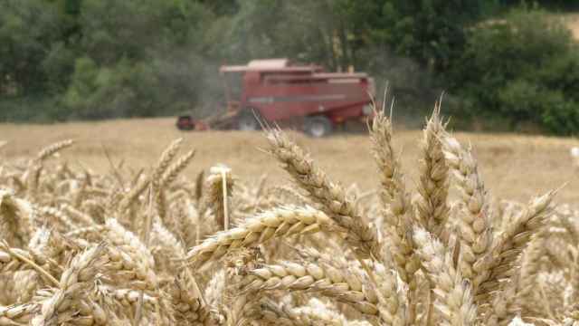 Una cosechadora de trigo, en imagen de archivo.