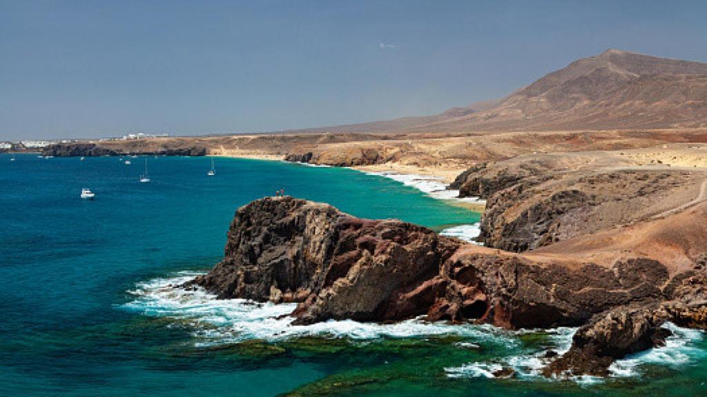 Papagayo en Lanzarote.