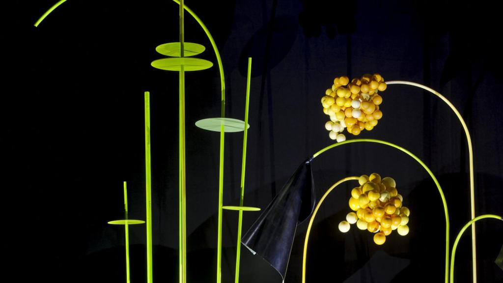 'Flors i Viatges'. Foto: Jose Hevia