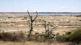 El embalse de la Almendra afectado por la sequía