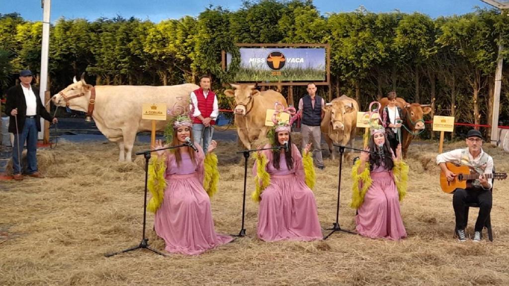 Las cuatro concursantes de Miss Vaca.