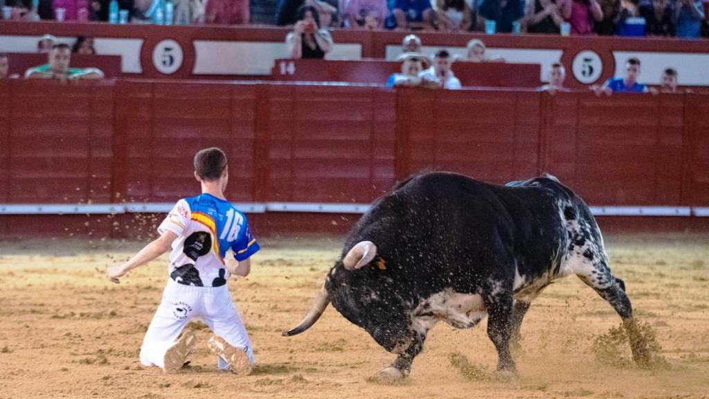 Imágenes del Concurso Nacional de Arévalo