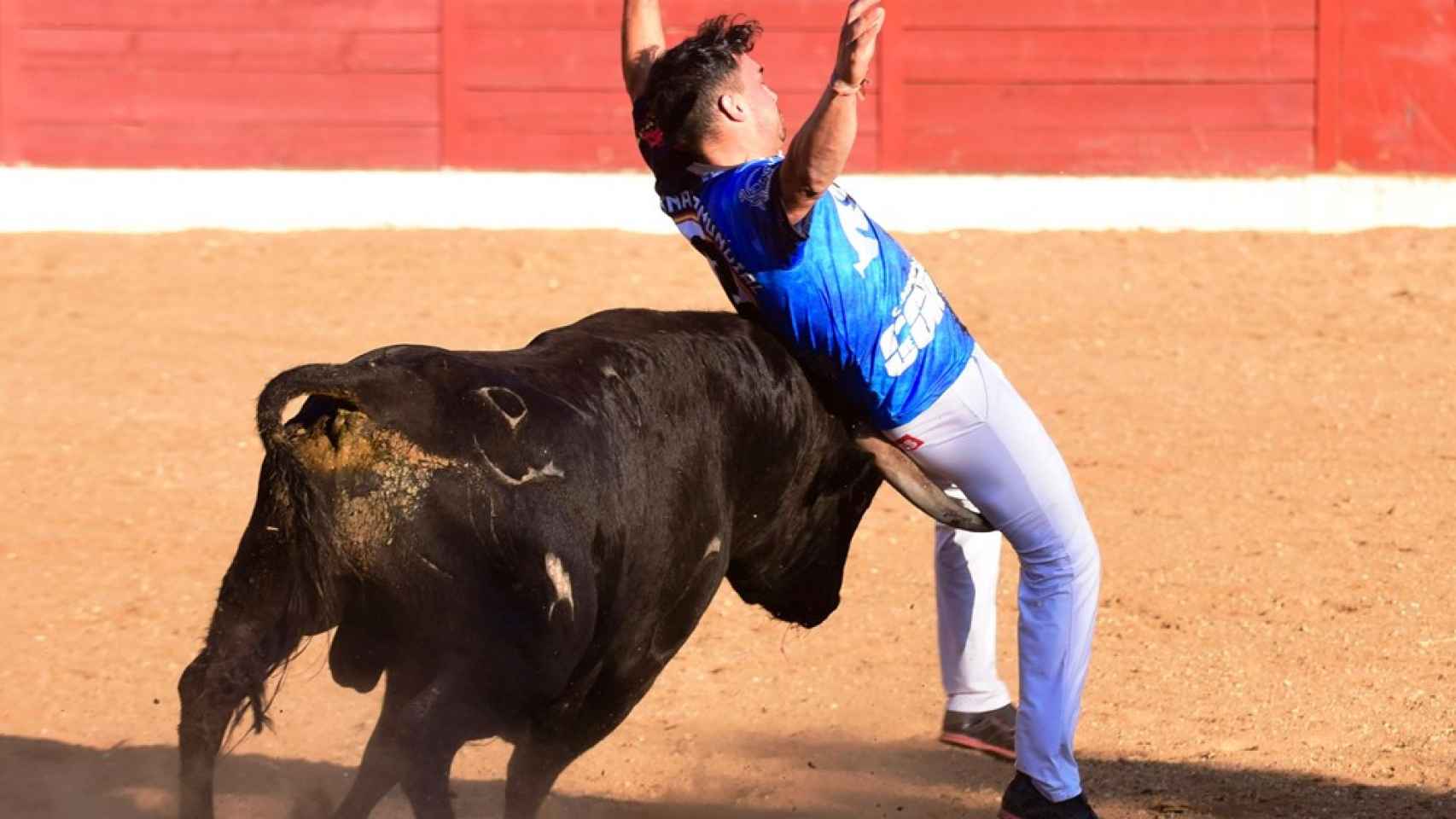 Campeonato Mundial de Cortes celebrada en Fuentesaúco