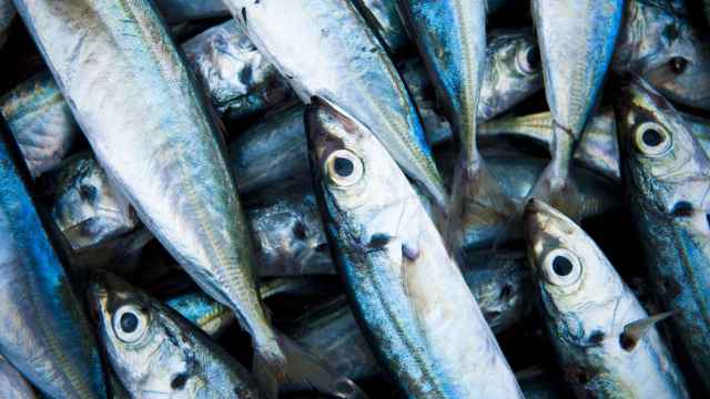 Así ayuda a reducir el riesgo cardiovascular el consumo de pescado azul