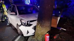 Excarcelado un conductor tras un choque frontal contra un árbol en Oleiros (A Coruña)