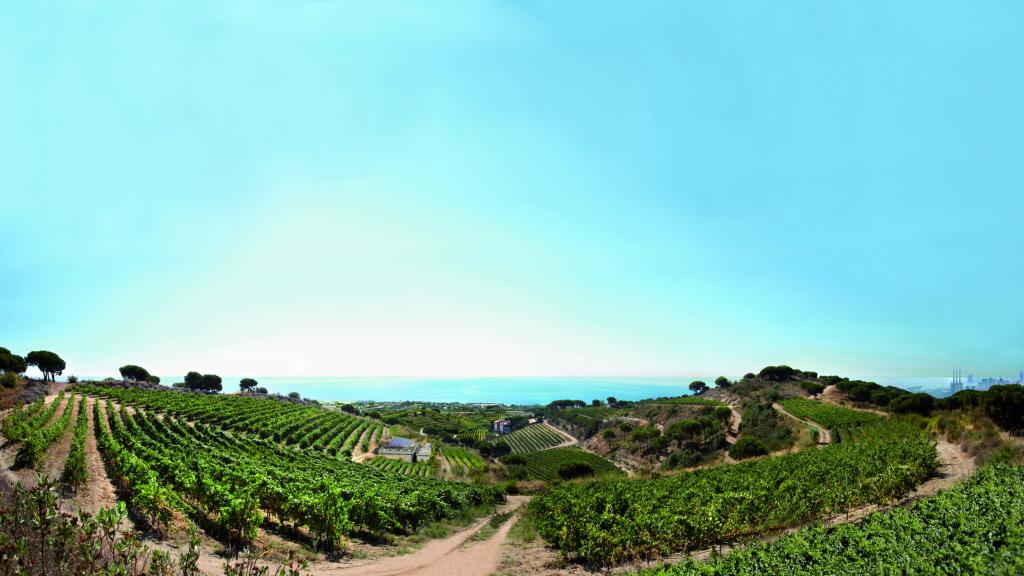 Panorámica bodega Alta Alella, a pocos kilómetros de Barcelona