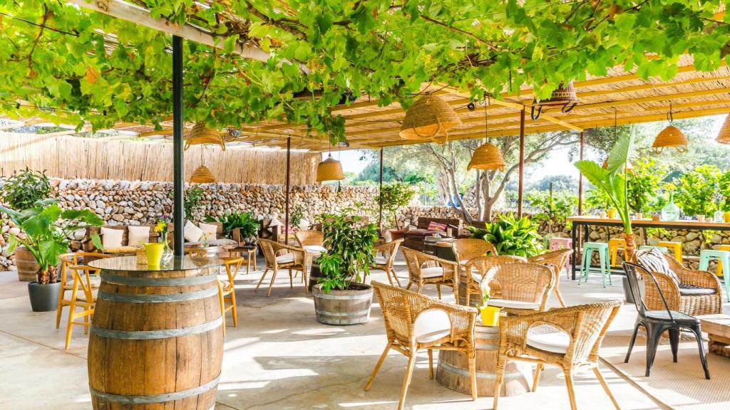 Terraza restaurante Bodegas Binifadet