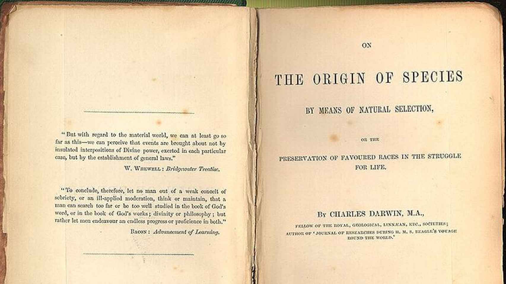 Ejemplar de 'El origen de las especies', de Charles Darwin.