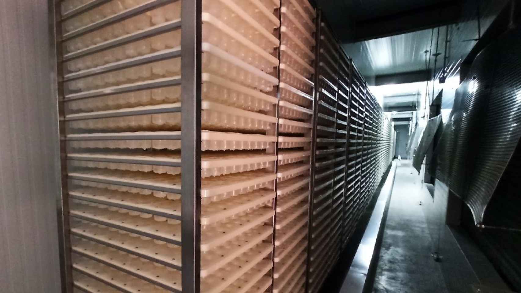 Las bandejas, con capacidad para hacer 2.000 cubitos cada una, en el túnel de congelación.
