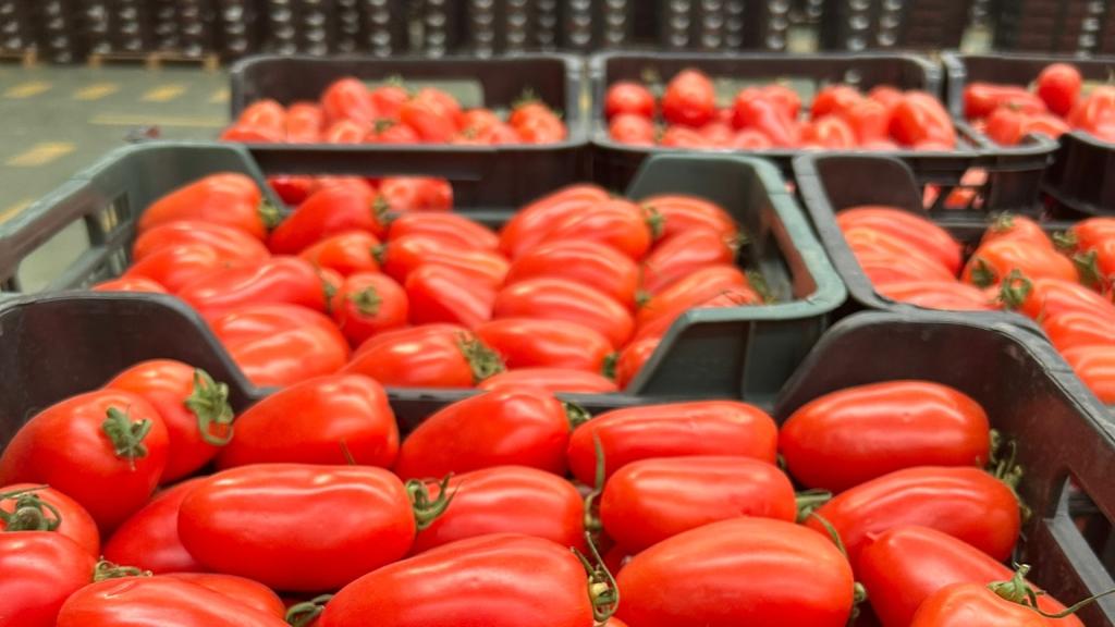 La caja de 5 kilos de tomates vale 4 euros