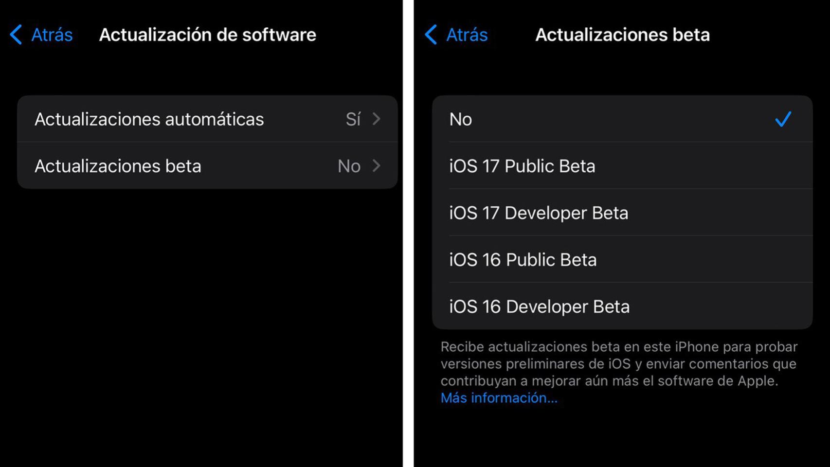 Opciones para instalar la beta en un iPhone.