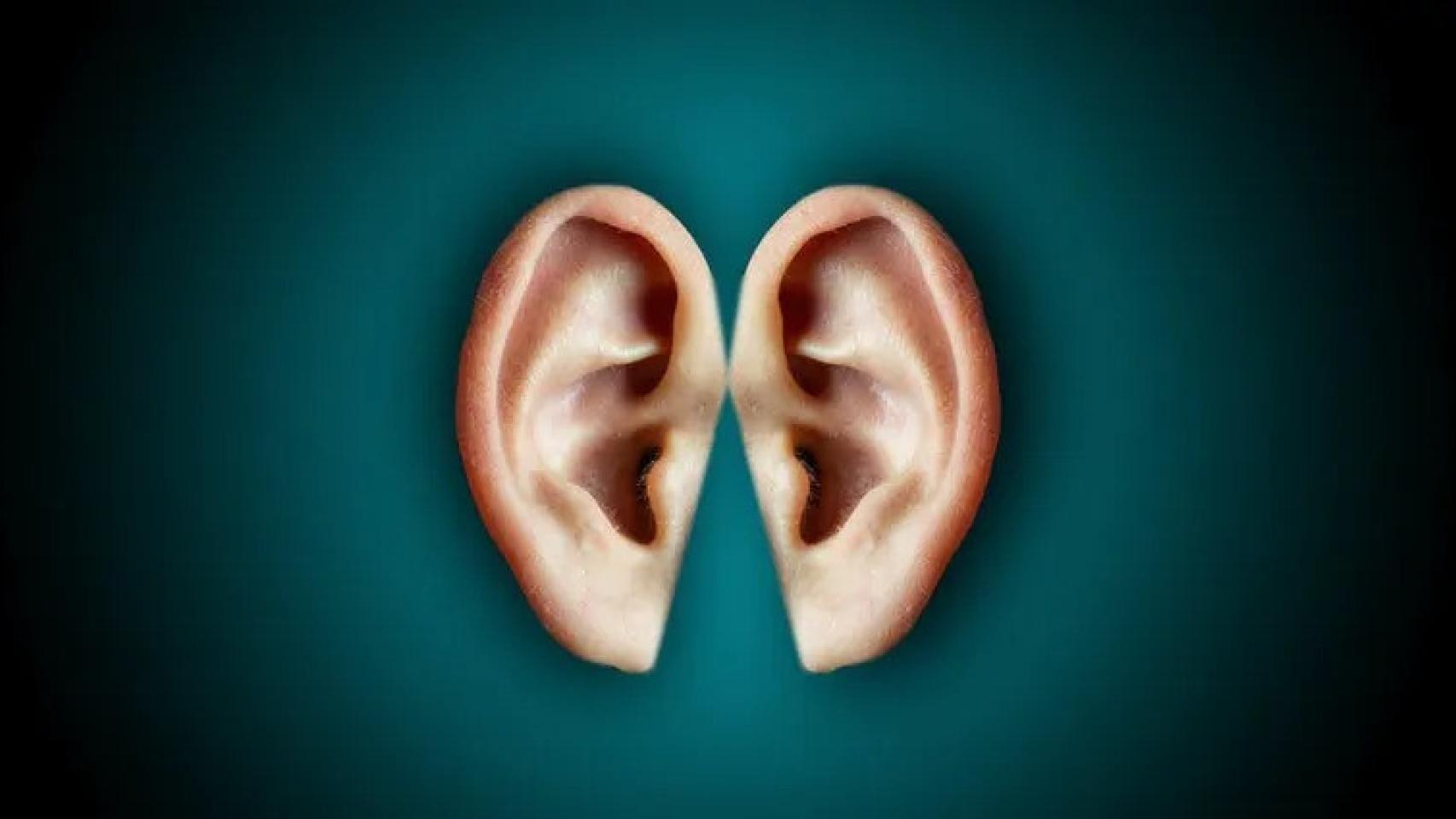 El silencio es algo que también se puede escuchar, según un estudio de la Universidad Johns Hopkins.