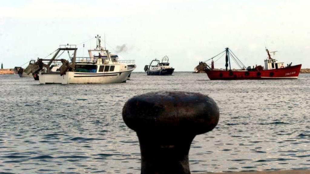 Pescadores en el puerto de Dénia, en imagen de archivo.